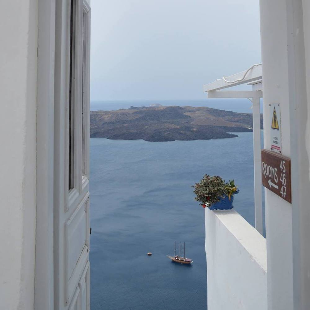 Meet your Posher, Daisy